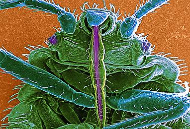 《禁闭求生2》玩家人数突破300万 黑曜石新作受欢迎